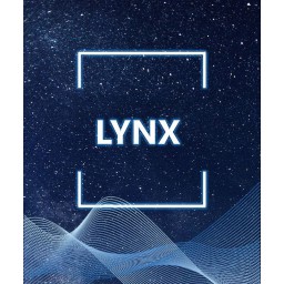 Przeliczenie historii transakcji LYNX – Profesjonalna księgowość dla inwestorów