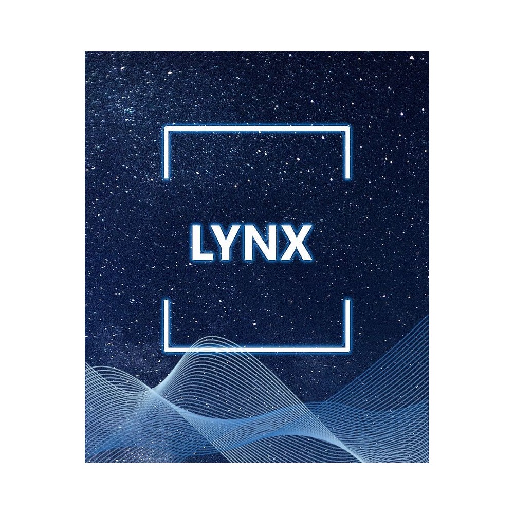 Przeliczenie historii transakcji LYNX – Profesjonalna księgowość dla inwestorów